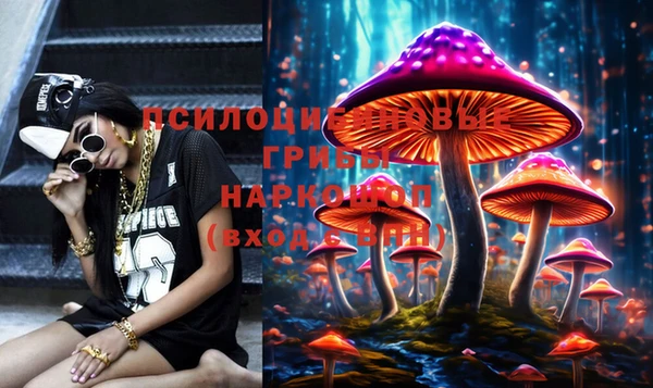 марки nbome Богородицк