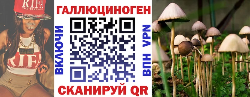 цены наркотик  Вятские Поляны  Псилоцибиновые грибы Cubensis 